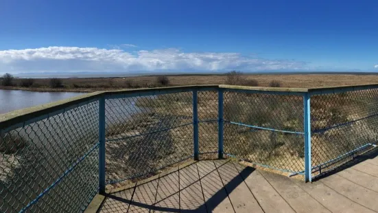 George C. Reifel Migratory Bird Sanctuary