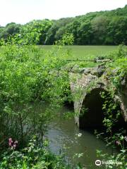 The Knapp And Papermill Nature Reserve