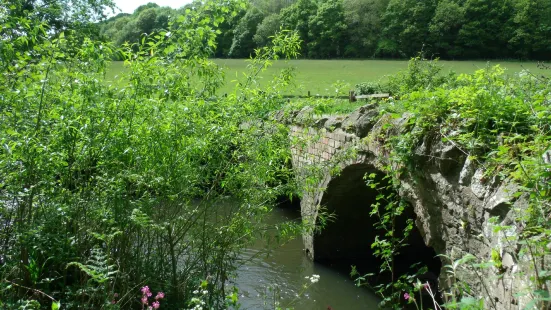 The Knapp And Papermill Nature Reserve