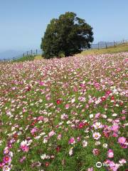 Aso Milk Ranch