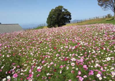 Aso Milk Ranch