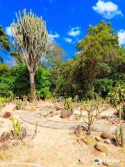 Jardin Botanico Santa Cruz