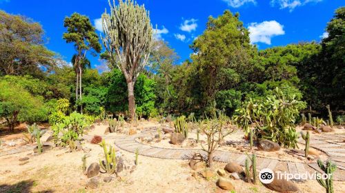 Jardin Botanico Santa Cruz