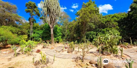 Jardin Botanico Santa Cruz