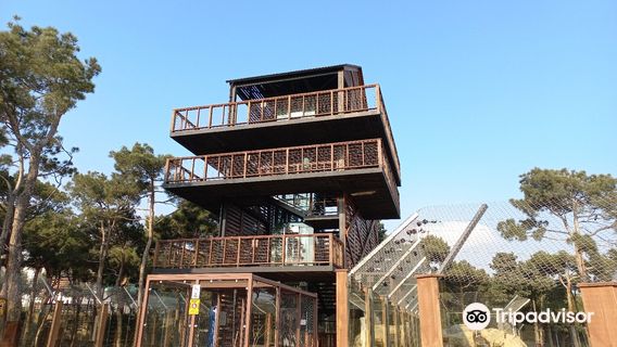 Baku Zoological Park