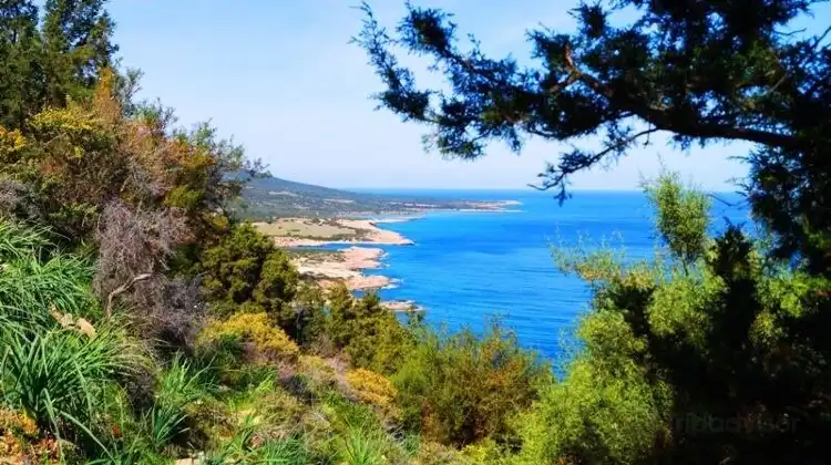 Hotels in Neo Chorio