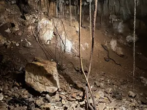 Grotte des Carbonnieres