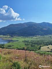 Whinlatter Forest