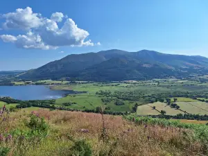 Whinlatter Forest