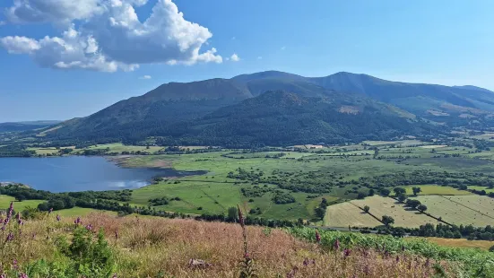 Whinlatter Forest