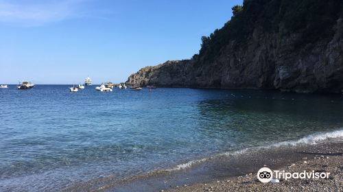 Spiaggia di Recommone