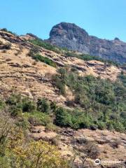 Harihar Fort