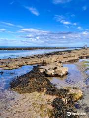 Kingsbarns Beach