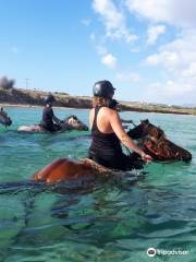 Paros Horse Riding Center - Thanasis Farm