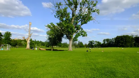 Verulamium Park