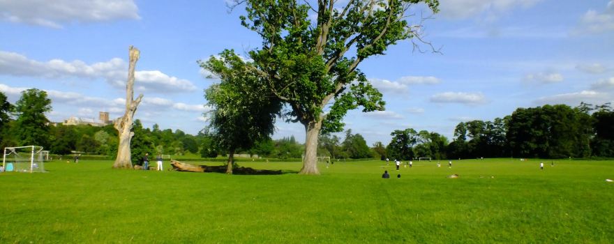 Verulamium Park