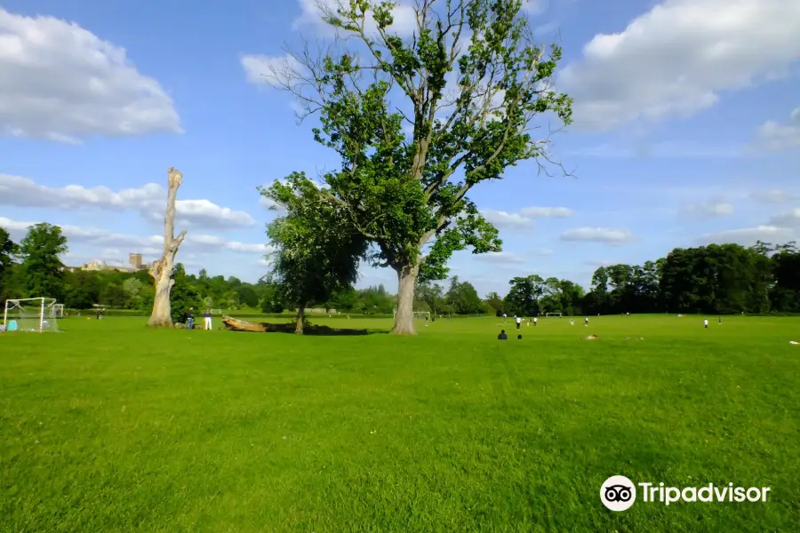 Verulamium Park