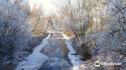 Kurpark Bad Krozingen