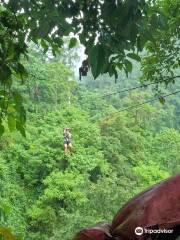 TCK Zipline