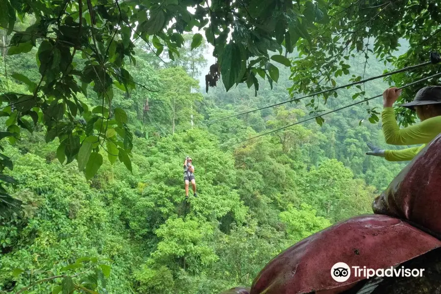 TCK Zipline