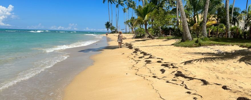 Playa Punta Popy