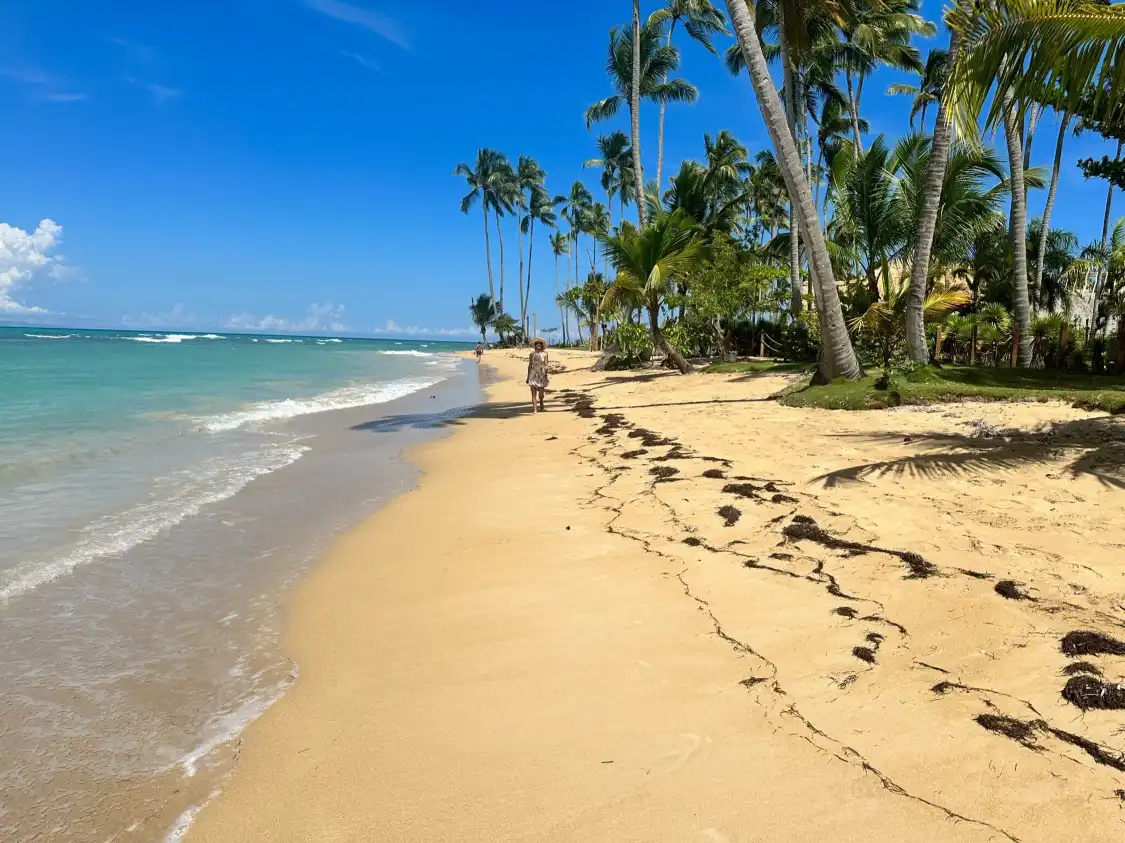 Hotels near Playa Punta Popy