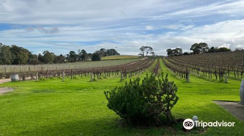 DogRidge Winery, Cellar Door & Vineyards