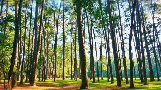 セスクィセンテニアル州立公園