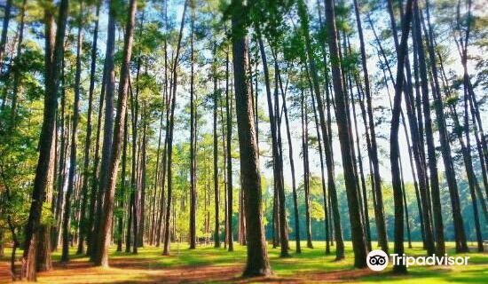 Sesquicentennial State Park