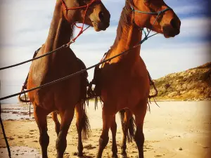 Port Willunga Beach Rides