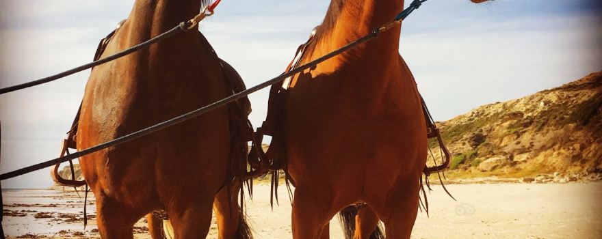 Port Willunga Beach Rides