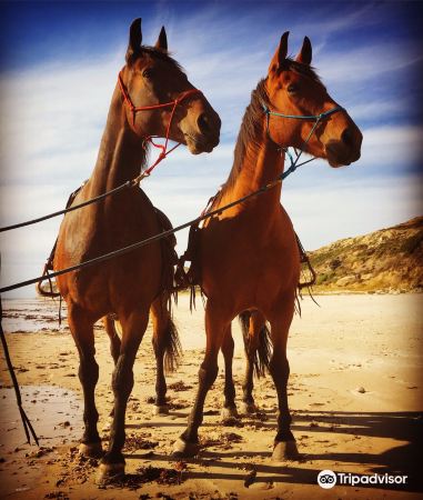 Port Willunga
