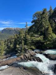 Puerto Blest y Cascada de los Cantaro