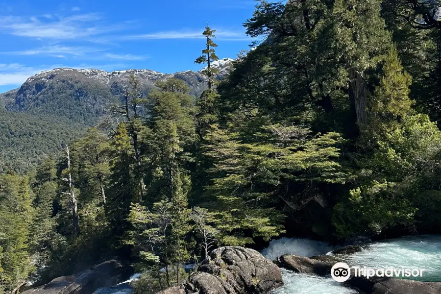 Puerto Blest y Cascada de los Cantaro