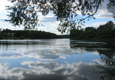 Arboretum Oleksandriya