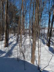 Cabane A Sucre Bouvrette