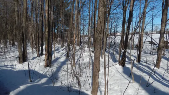 Cabane A Sucre Bouvrette