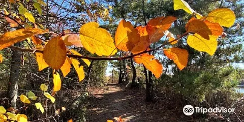 Marine Nature Study Area