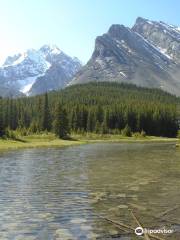 Elbow Lake Trail