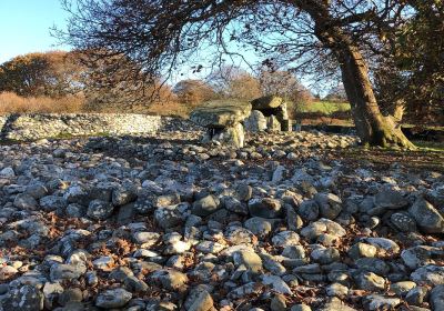 Dyffryn Ardudwy Burial Chamber