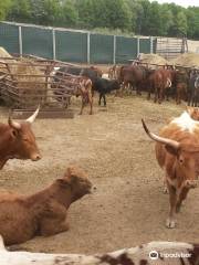 Wagon Trails Animal Park