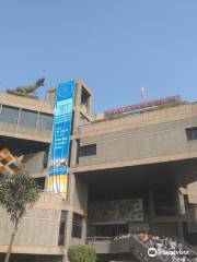 내셔널 사이언스 센터, 델리