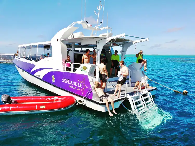 Hotels near Skedaddle Cairns