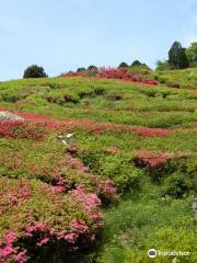 Parque Himenosawa