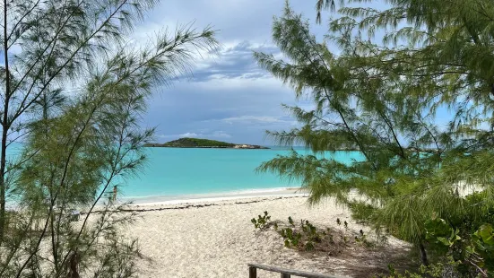 Tropic of Cancer Beach