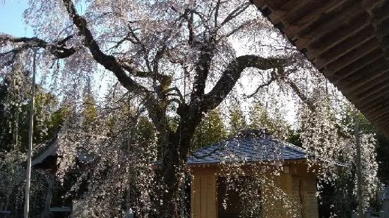 法蓮寺