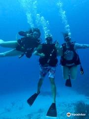 DNS Diving Grand Cayman