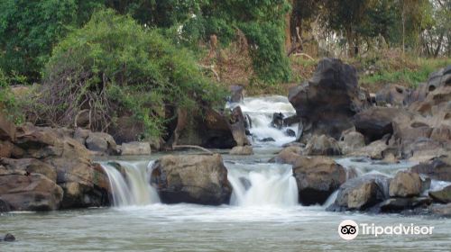 Yokdon National Park