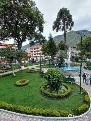 Palomino Flores (Parque Central)