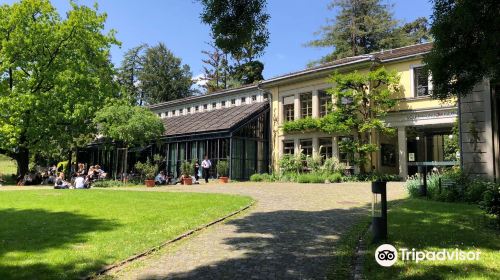 Volkerkundemuseum der Universitat Zurich